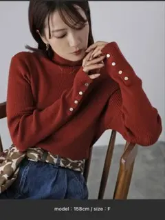 リブ編みタートルネックセーター Fサイズ