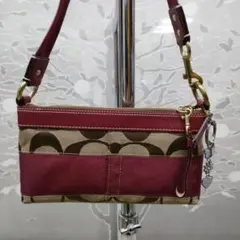 未使用級　COACH アクセサリーポーチ　スモールホーボー　ストライプ　y2k