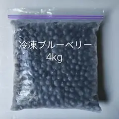 まとめ売り！　完熟冷凍ブルーベリー【L・2L】4kg まとめ売り！ 完熟冷凍ブルーベリー【L・2L】4kg】の通販 by 白くま子