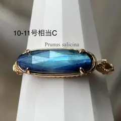 10-11C_楕円形シルエットのラブラドライト石と黒瑪瑙リング　神秘的