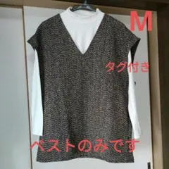 Item thumbnail for item b37a3003-f59b-4b74-83d7-5db64eac84e9