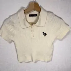 【DAZY】半袖 ポロネック クロップド ニット アイボリー ミニ丈 XS