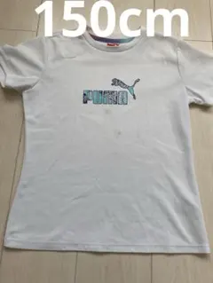 プーマ　PUMA 白T Tシャツ　速乾　ドライTシャツ　150cm