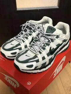 Nike women's P-6000 28cm 本体のみ