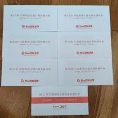 【匿名配送】ビックカメラ　コジマ　株主優待　13,000円分