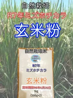 4 R7年 自然栽培 ミズホチカラ玄米粉1kg（500g×2） - メルカリ