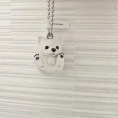 まんまるどうぶつ　チワワ