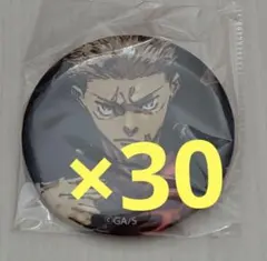 呪術廻戦 虎杖悠仁 ジャンプGIGA 缶バッジ 30個