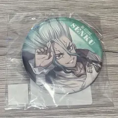 千空 缶バッジ まとめ売り 2025年最新】dr.stone 缶バッジ 千空の人気アイテム - メルカリ