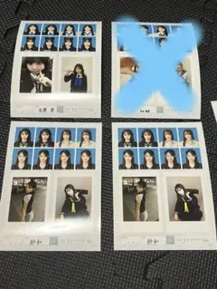 seju証明写真