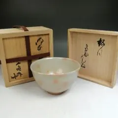 W858 茶碗 『御本 茶碗』『杉本貞光 造』『大徳寺 立花大亀 箱書