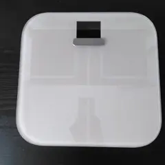 GARMIN Index S2 Smart Scale 本体