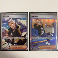 カキツバタ SAR SV8a 229/187、SR SV7a 083/064