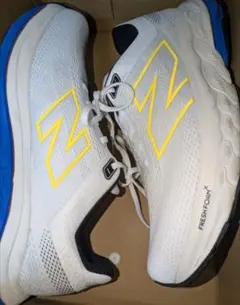 箱付き New Balance Fresh Foam M860Z14 29cm