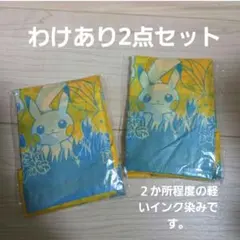 わけあり　中サイズ　ポケモンセンター限定　ポケモン　エコバッグ　折り畳みバッグのサムネイル
