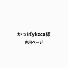 【かっぱykzca様　専用ページ】