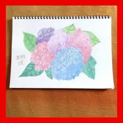 今年89歳になるおばあちゃんの鉛筆画【カンパニュラ】イラスト 絵画