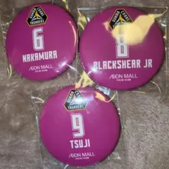 群馬クレインサンダーズ缶バッジ３個セット