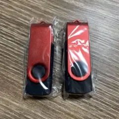 USBメモリー 8GB 2枚