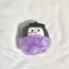 【値下げ】鬼滅の刃 不死川玄弥 たぴぬい