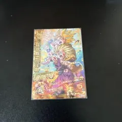 ドラゴンボールヒーローズ 孫悟飯 カード