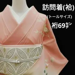 訪問着(袷)　(友禅四季の花紋様　トールサイズ裄69㌢　宍色系　一つ縫い紋)