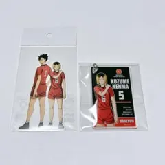 ハイキュー プラザ 共闘 ステッカー アクリルキーホルダー 孤爪研磨 黒尾鉄朗