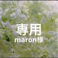 maron様リクエスト 3点お纏め商品