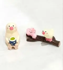 2026年最新】コンコンブル 文鳥 茶の人気アイテム - メルカリ