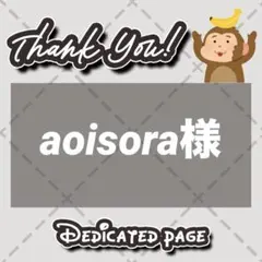 【光沢紙2枚】aoisora様 リクエスト 2点 まとめ商品