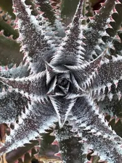 ナリナリ様 リクエスト 3点 まとめ商品