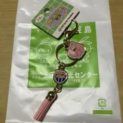 ヤドンパラダイス ポケモンローカル