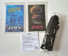 Mrs. GREEN APPLE スタッフパス ストラップ付き レプリカ