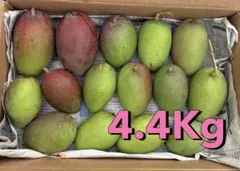 大分県産 大玉 完熟マンゴー 1キロ① - メルカリ 宮崎県産 完熟マンゴー 4.4Kg
