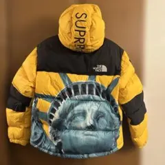 2026年最新】supreme 自由の女神 north faceの人気アイテム - メルカリ