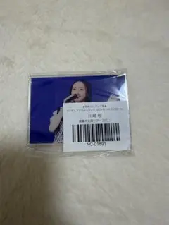 Item thumbnail for item 3ea11b16-fb09-4a72-972f-ee3c7e5861bc