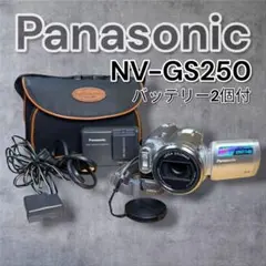 録・再・ダビング☆ミニDV◆パナソニック　ＧＳ２５０　動作良好 パナソニック NV-GS250【動作良好】 MiniDVビデオ ダビングに最適