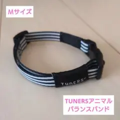 Item thumbnail for item 9debf3de-6723-47c3-8d72-3d5d3f940c40