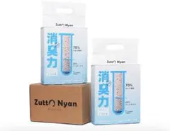 Item thumbnail for item 6ff44965-2d45-4c5c-bb6d-f3e03483be90