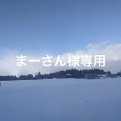 まーさん様専用