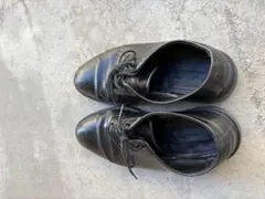 Item thumbnail for item 7c53c5a2-8bff-4725-a952-025c63100e9f