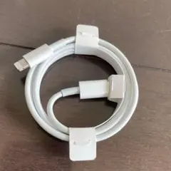 iPhone純正イヤホン付属品　ライトニングケーブルタイプC