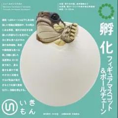 ガチャ ネイチャーテクニカラー 孵化 フィギュアマスコット ニシヘルマンリクガメ
