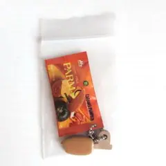 匿名配送　森永乳業　アイスミニチュアコレクション2　パルム　キャラメルパンプキン