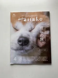Hanako(ハナコ) 2024年4月号