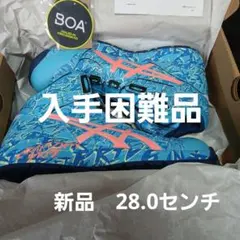①アシックス安全靴限定色ウィンジョブCP304 BOA MAGMA 25.0cm - メルカリ