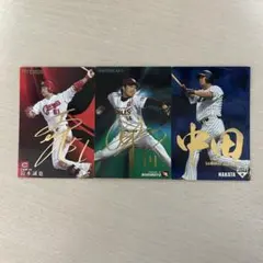 2025年最新】中田翔 サインの人気アイテム - メルカリ