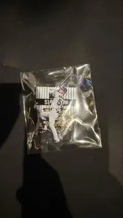 Item thumbnail for item 5a4aeb5e-c5fc-4c30-9417-a7249de3094c