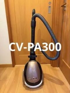 2026年最新】cv-pa30の人気アイテム - メルカリ