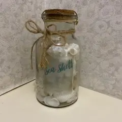 貝殻　飾り